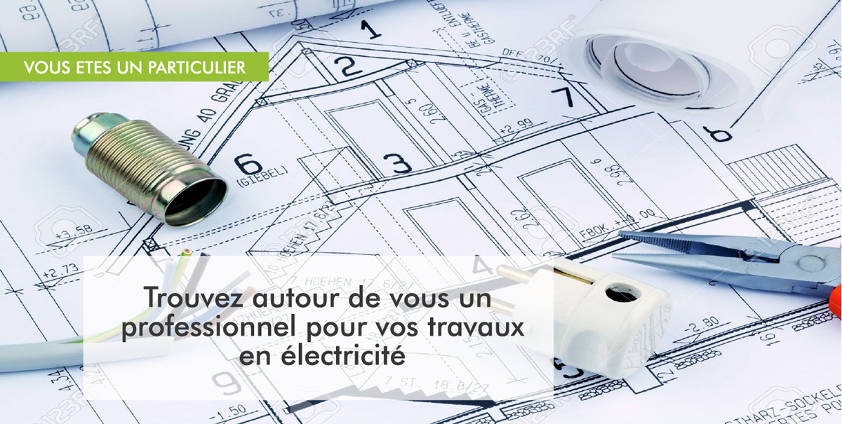 Le rseau des professionnels de l'lectricit